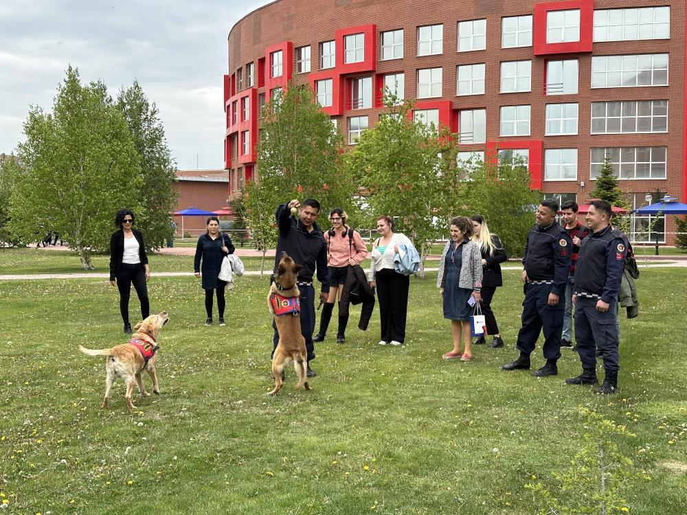 JANDARMANIN SEVİMLİ KAHRAMANLARI