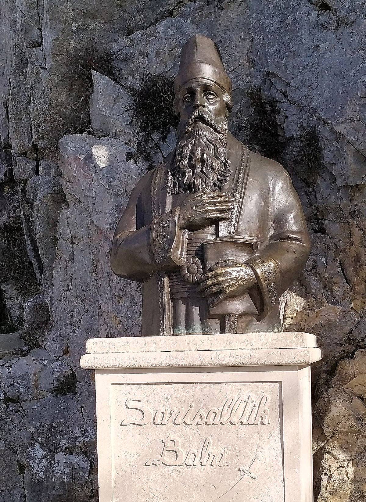 SARI SALTUK