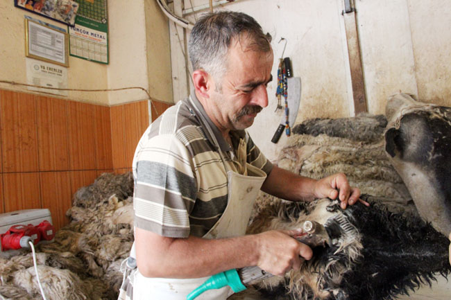 PEYNİRE LEZZET KATAN TULUMLAR