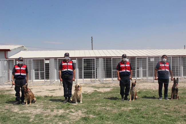 BU KÖPEKLER SUÇLULARIN KORKULU RÜYASI