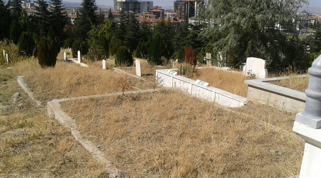 MEZAR YERLERİ ALTINDAN DAHA FAZLA DEĞER KAZANDI