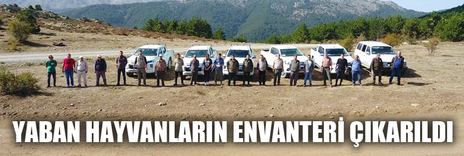 Afyonkarahisar ve Denizli’de yaban hayvanlarının envanteri çıkarıldı