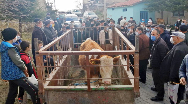 CAMİYE BAĞIŞLANAN HAYVANLAR AÇIK ARTTIRMAYLA SATILDI