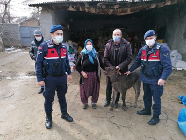 JASAT hayvan hırsızlarını Gürcistan’a kaçarken yakaladı