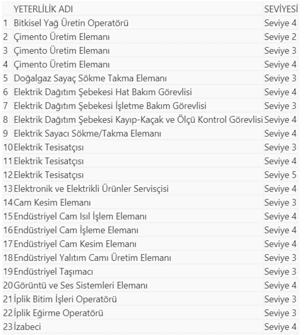 40 mesleğe daha belge zorunluluğu getirildi