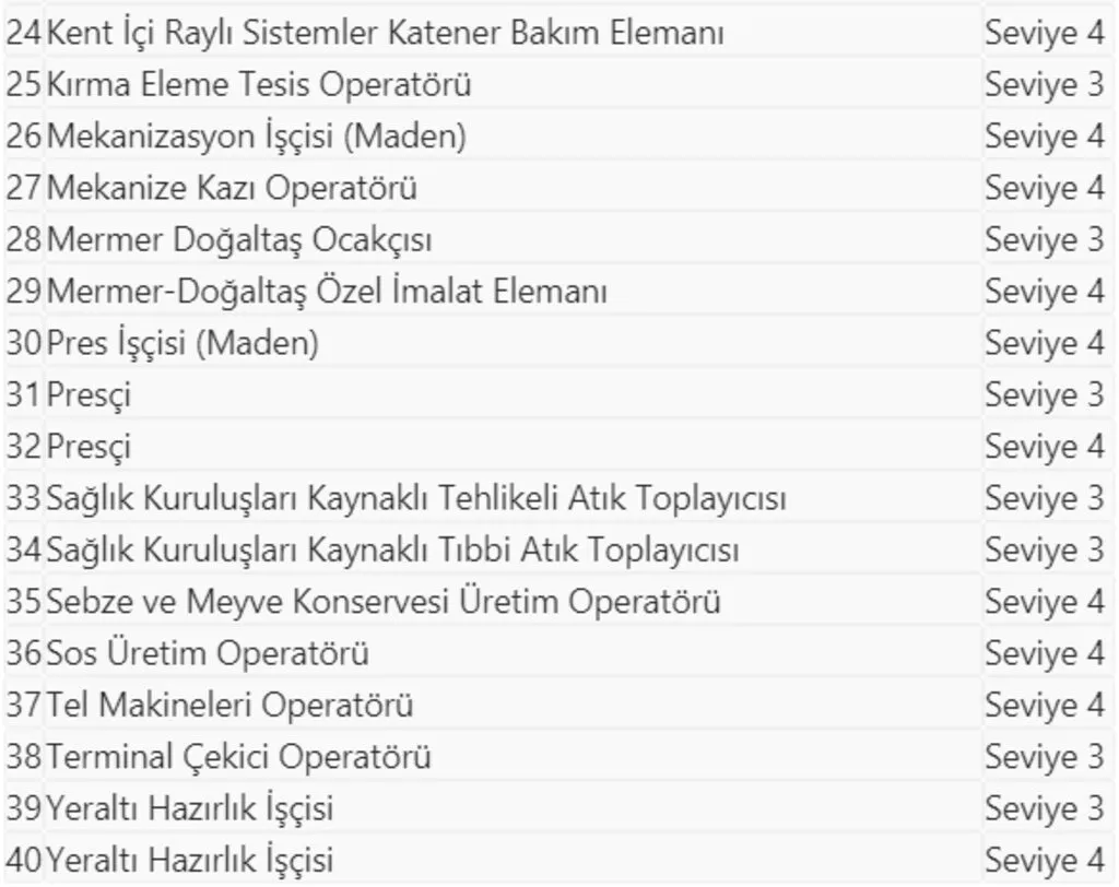 40 mesleğe daha belge zorunluluğu getirildi