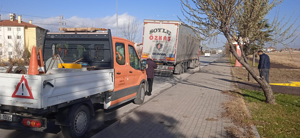 Afyonkarahisar'da lodos ağaçları yerinden söktü, tırları devirme noktasına getirdi