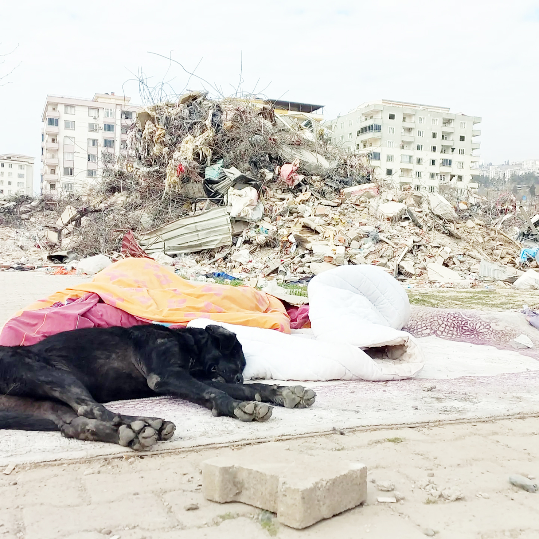 TÜRKELİ GAZETESİ DEPREM BÖLGESİNDE