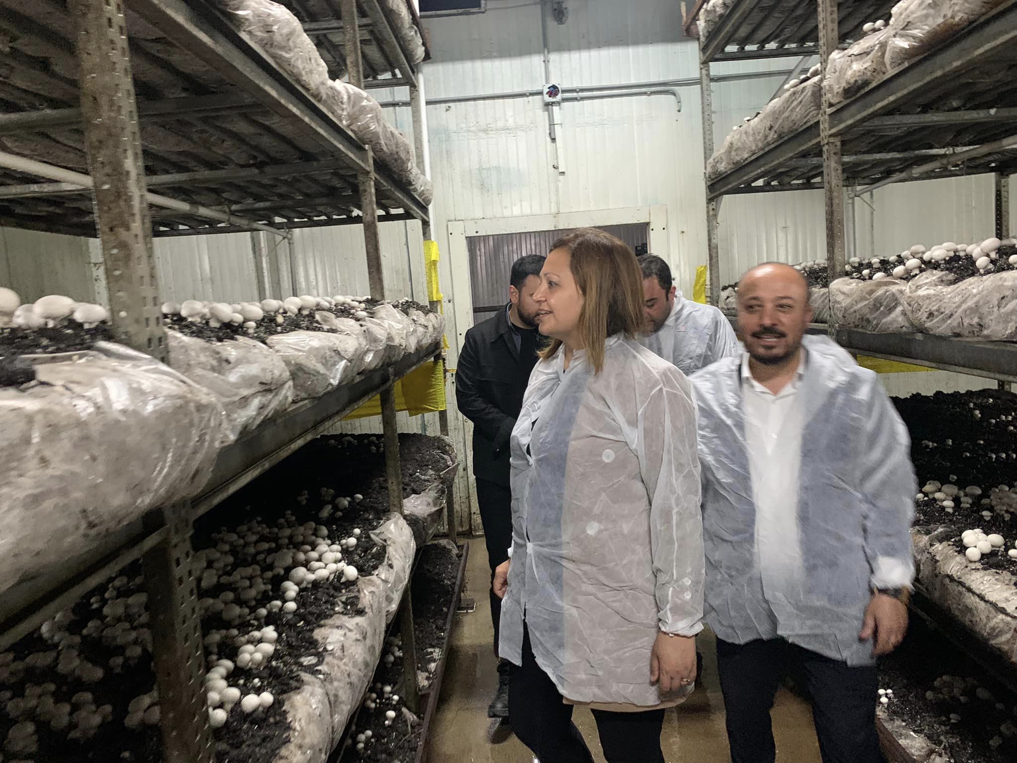 “KILIÇDAROĞLU CUMHURBAŞKANI OLACAK”