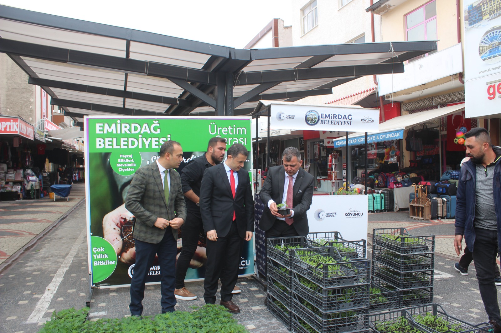YARIM ASIRLIK ATA TOHUMLARI VATANDAŞLA BULUŞTU
