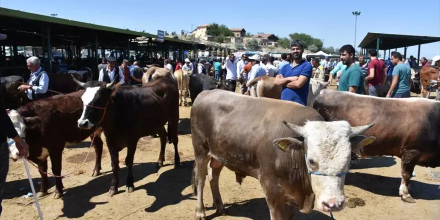 KURBAN SATIŞ VE KESİM NOKTALARI BELİRLENDİ