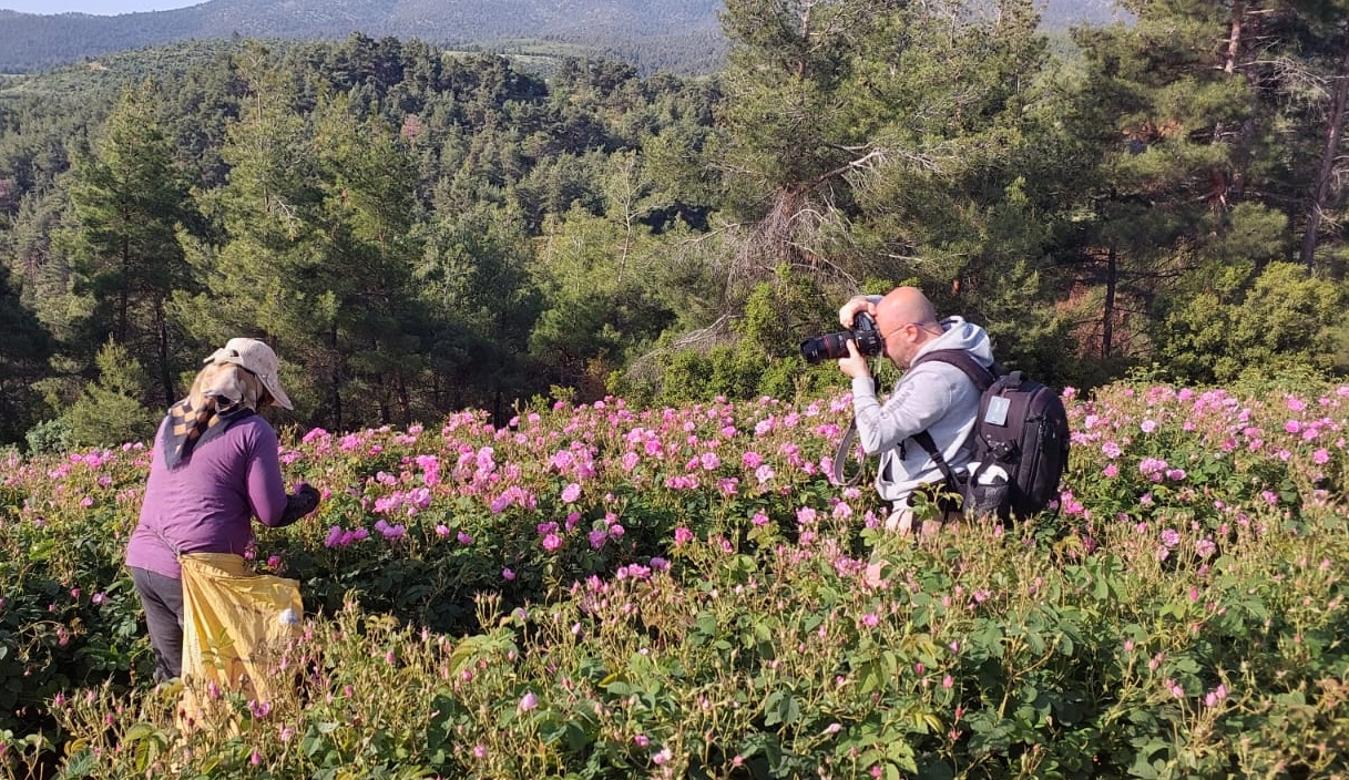 GÜL TARLALARINDA FOTO SAFARİ