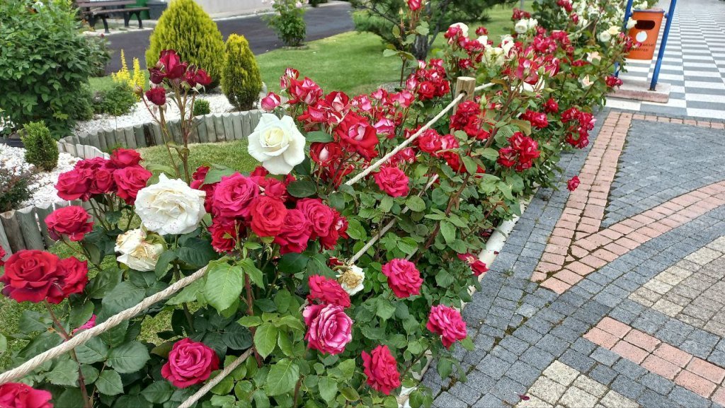 ŞEHRİN GÖZ BEBEĞİ DİNLENME TESİSİ GİBİ ÇALIŞIYOR