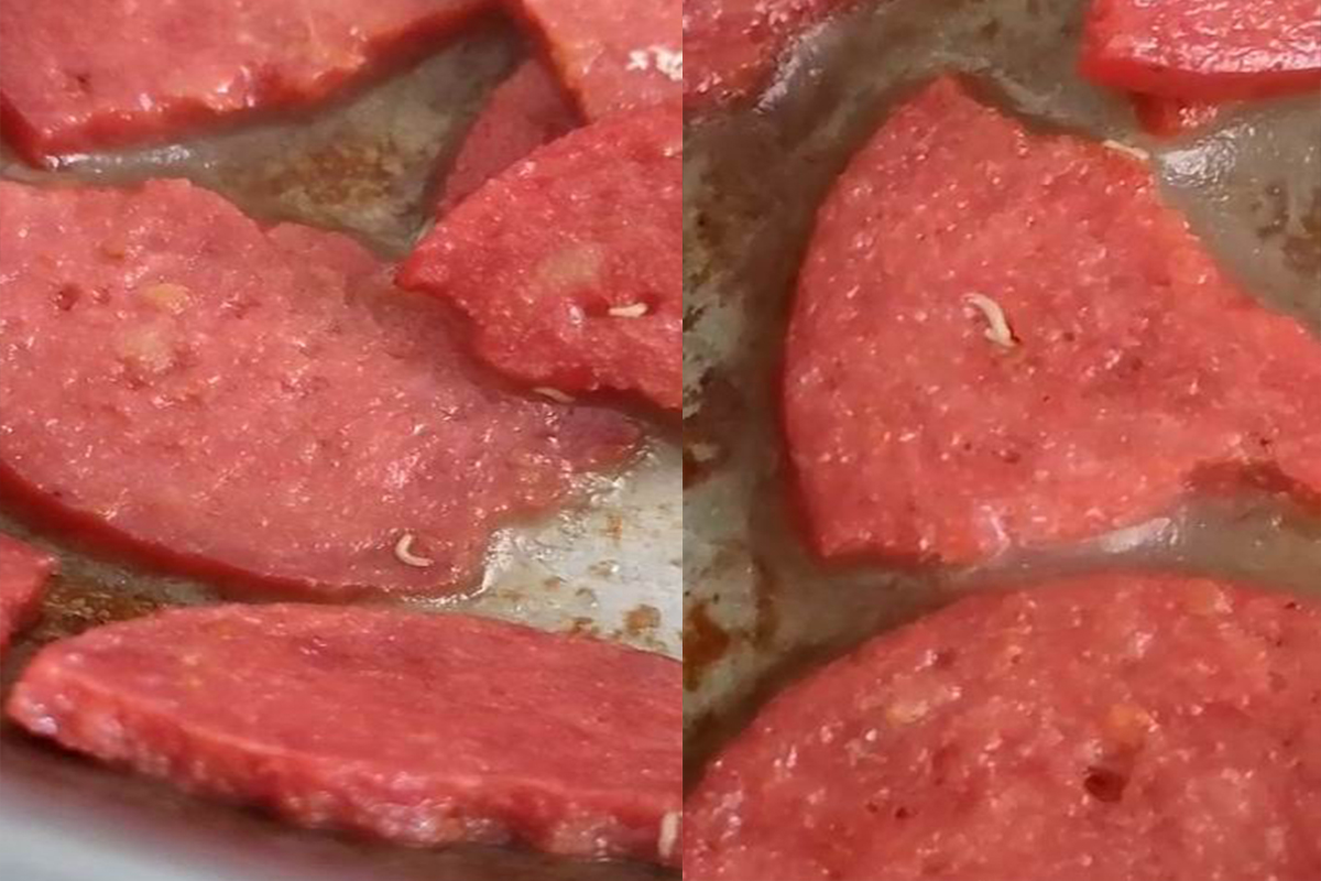 MARKETTEN ALDIĞI SUCUĞUN İÇİNDEN KURTÇUK FIŞKIRDI
