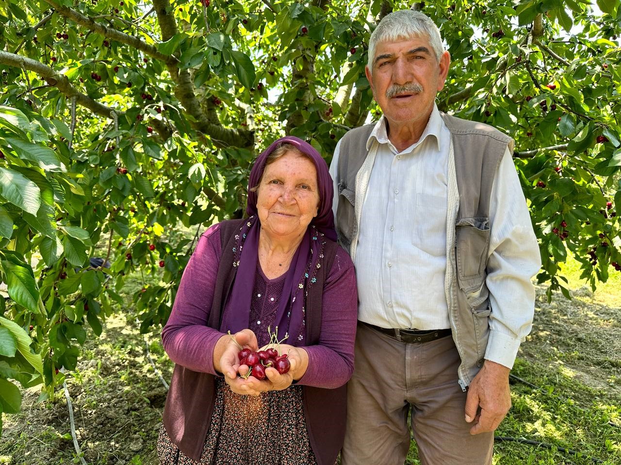 ÜRETİCİLER TÜCCARLARA KİRAZ SATMAYACAK