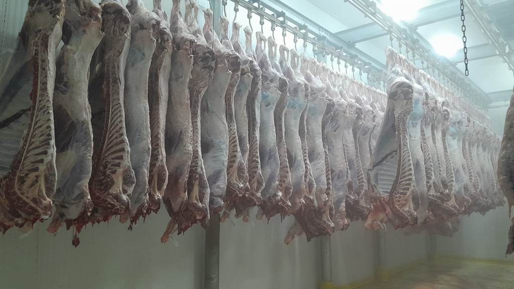 KURBAN İBADETİNİN ADRESİ BU YILDA ET ENFES OLDU