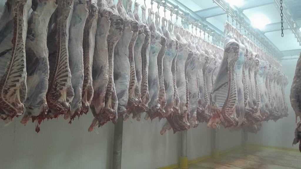 KURBAN İBADETİNİN ADRESİ BU YILDA ET ENFES OLDU
