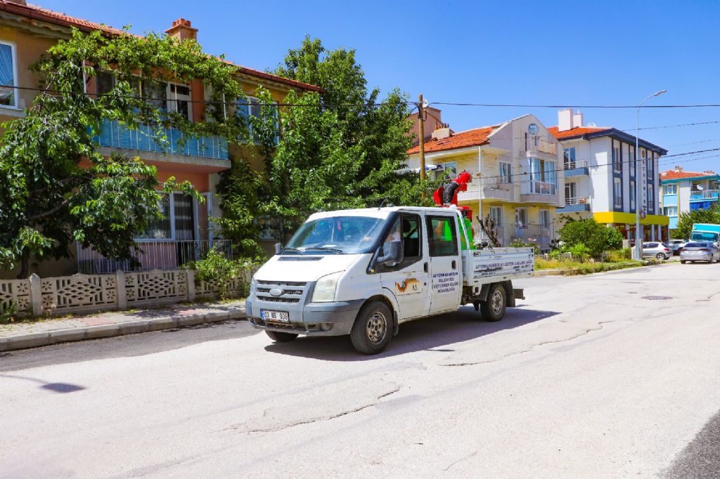 SİNEK VE HAŞEREYLE MÜCADELE SÜRÜYOR