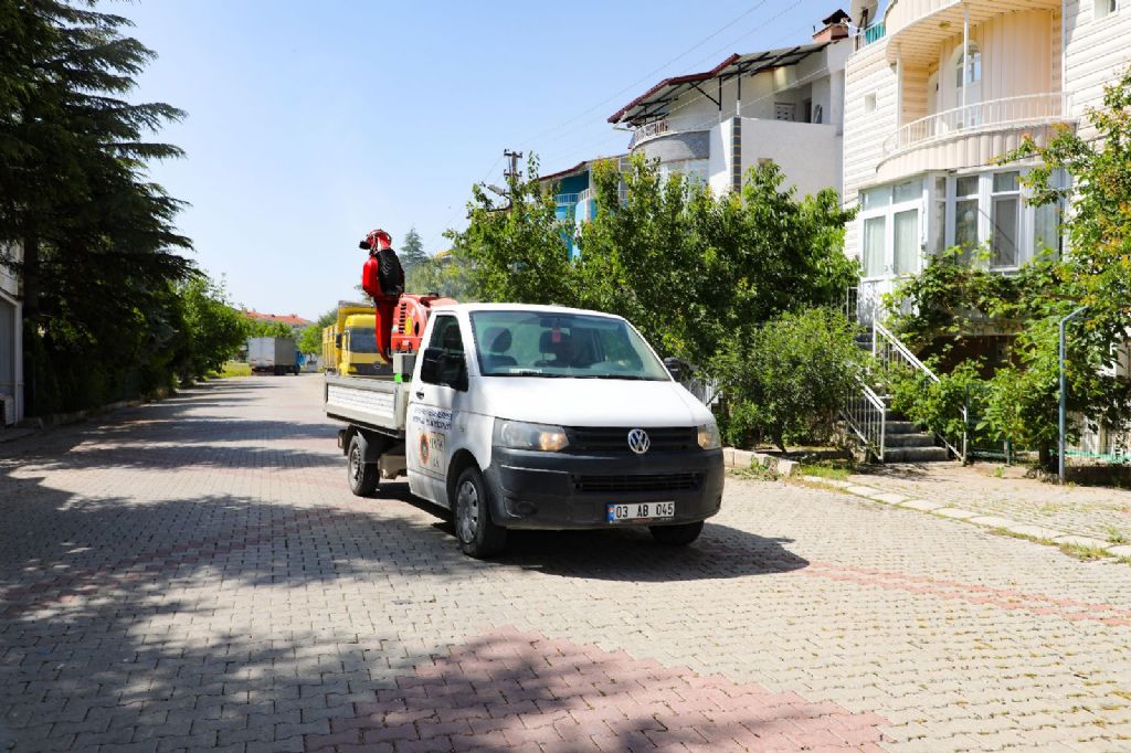 SİNEK VE HAŞEREYLE MÜCADELE SÜRÜYOR