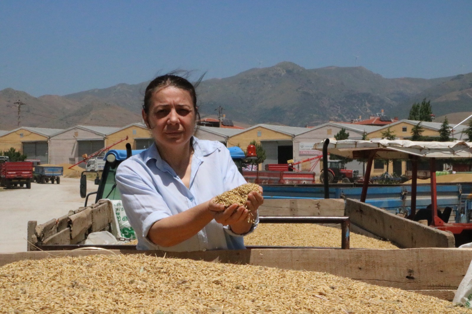 ARPA ÜRETİCİLERİ ALIM FİYATLARINDAN DERTLİ