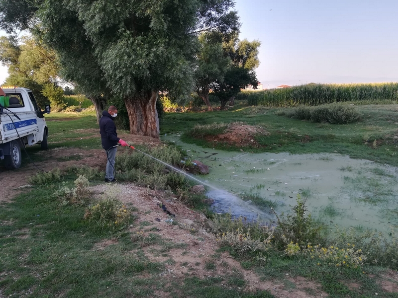 HALK SAĞLIĞI İÇİN HAŞEREYLE MÜCADELE SÜRÜYOR