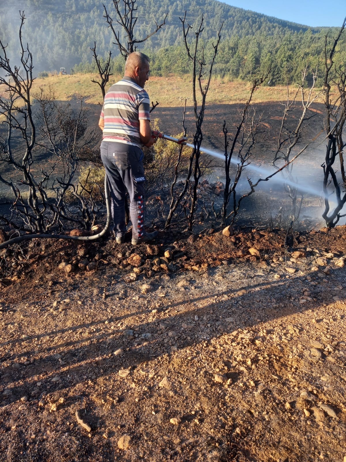 ARAZİDE YANGIN ÇIKTI