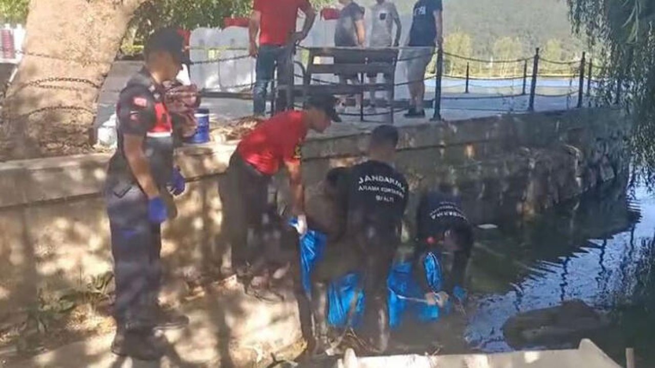 82 YAŞINDAKİ ALZHEİMER HASTASI GÖLDE ÖLÜ BULUNDU