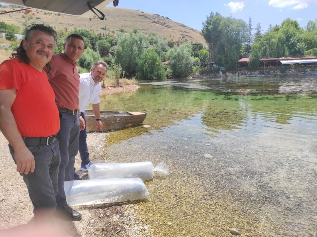 PROJE İLE BALIK POPÜLASYONLARININ DESTEKLENMESİ BEKLENİYOR