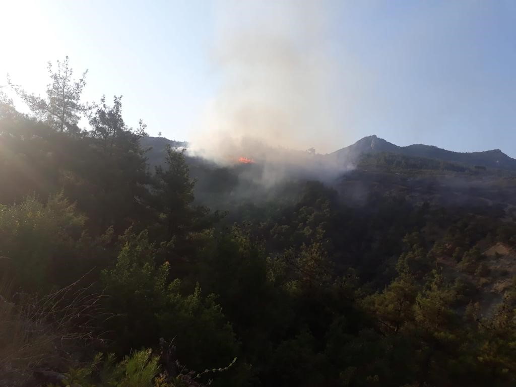 KORKUTAN ORMAN YANGINI
