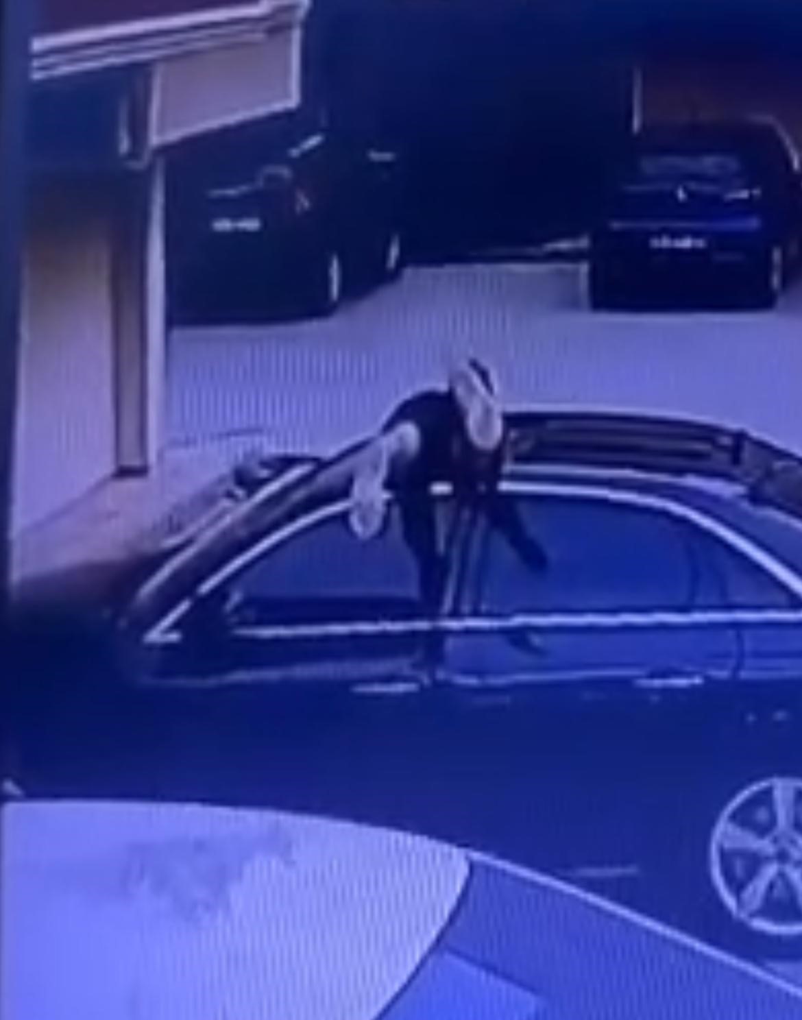 ÖRÜMCEK ADAM GİBİ OTO FARESİ