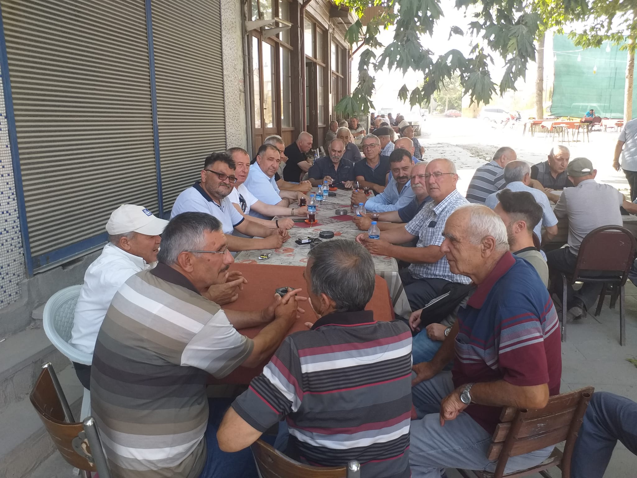 OLGUN'DAN İKTİDAR PARTİLERİNE ÇAĞRI;