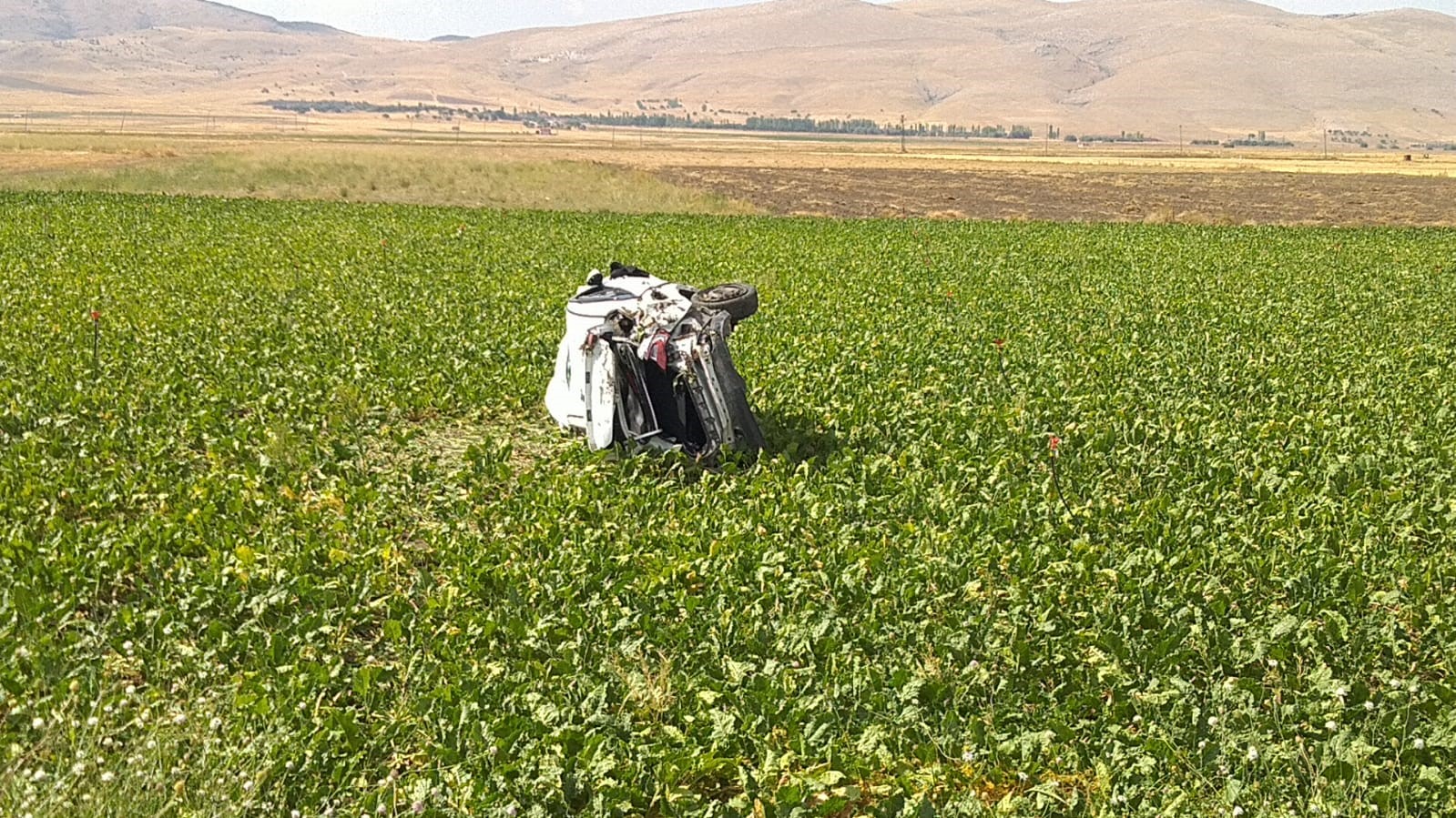 AFYON'DA KAZA YAPAN ARAÇ TAKLA ATARAK TARLAYA GİRDİ