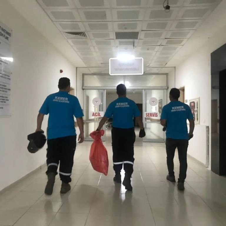 HASTANEYE GİREN YILANA OPERASYON