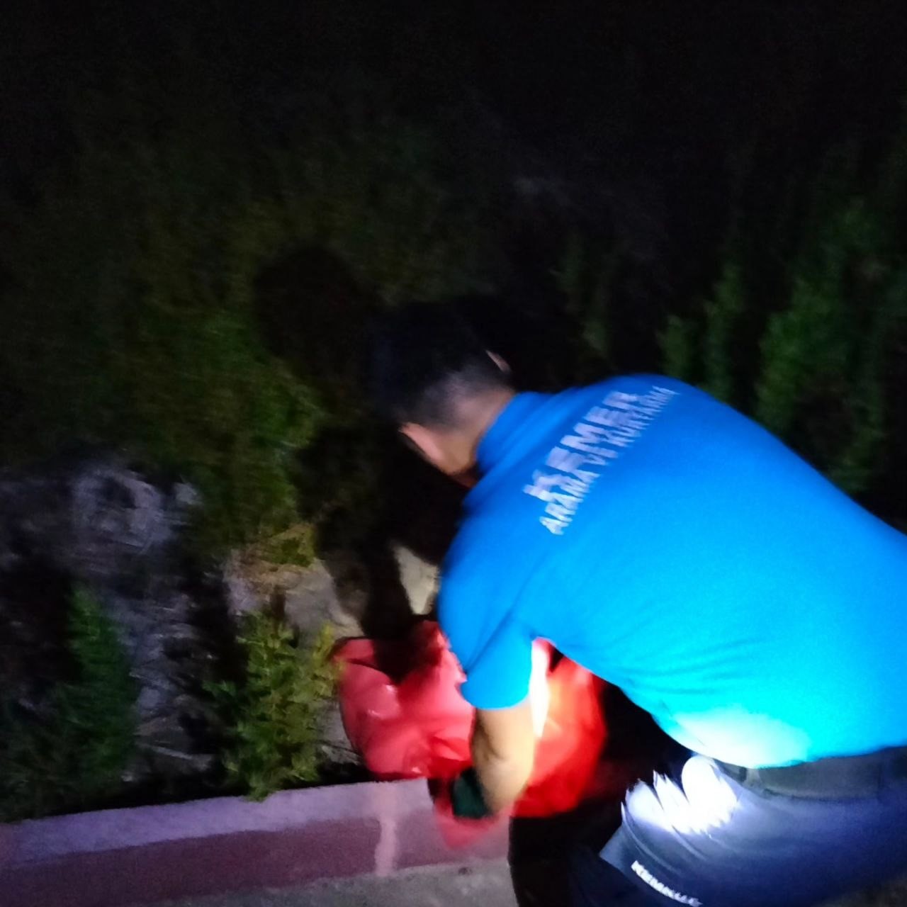 HASTANEYE GİREN YILANA OPERASYON