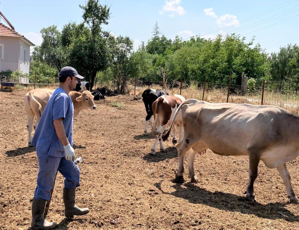 AŞILAMA KAMPANYASI İLÇELERDE DEVAM EDİYOR