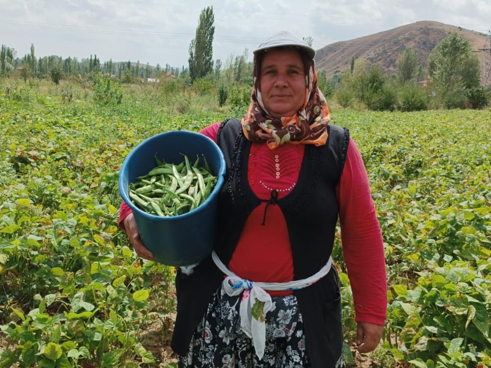 ŞUHUT'TA ÜRETİCİNİN YÜZÜ GÜLÜYOR