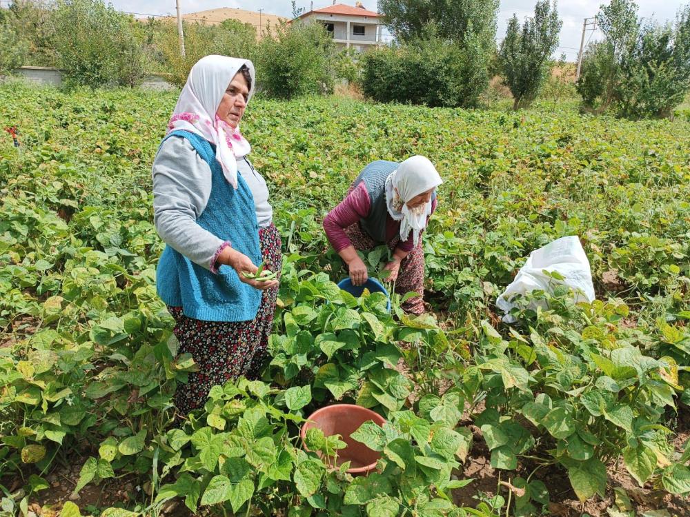 ŞUHUT'TA ÜRETİCİNİN YÜZÜ GÜLÜYOR