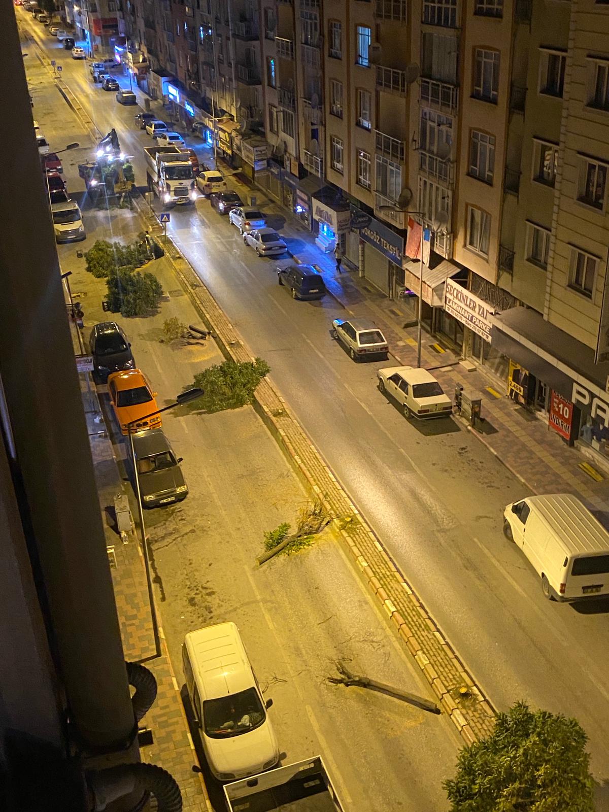 AMBARYOLUN'DA AĞAÇLAR NEDEN KESİLDİ ?