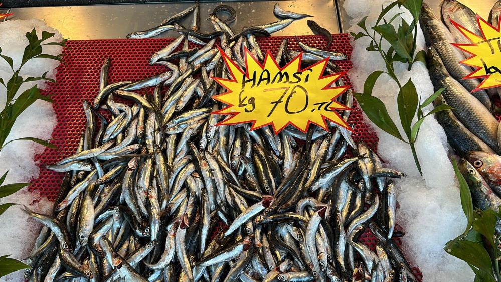 BALIK ÇEŞİDİ AZ OLUNCA FİYATLAR YÜKSELDİ