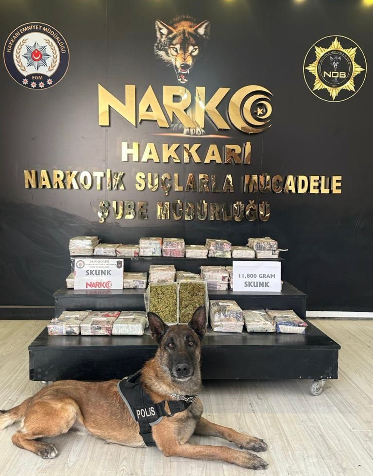 İÇİŞLERİ BAKANI YERLİKAYA: