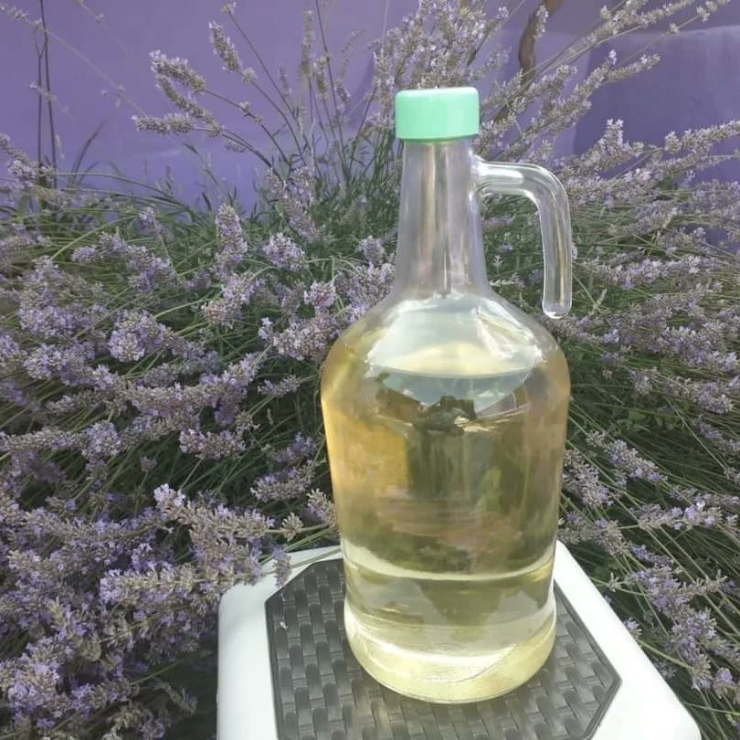 HASAT SONRASI 2 TON 900 KİLOGRAM LAVANTA YAĞI ELDE EDİLDİ