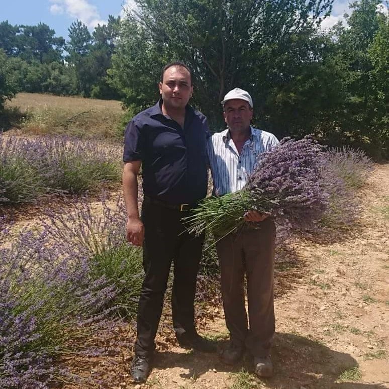 HASAT SONRASI 2 TON 900 KİLOGRAM LAVANTA YAĞI ELDE EDİLDİ