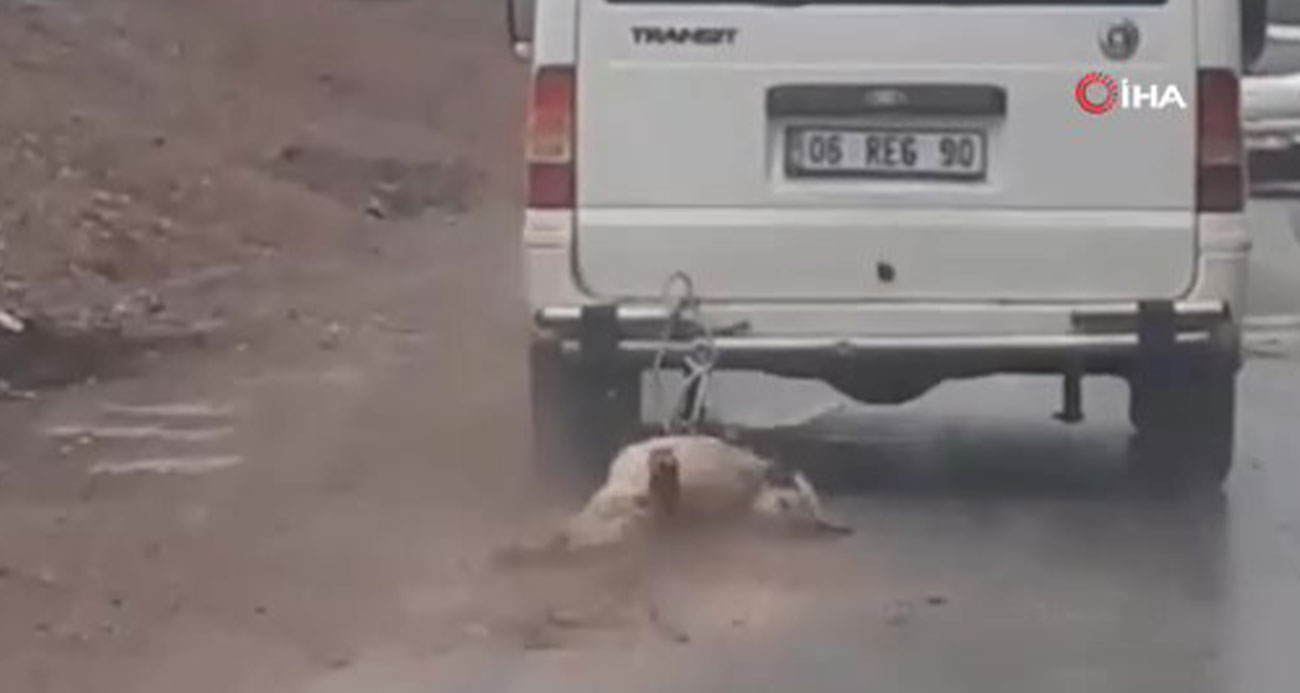 Bu kadarı da olmaz!...