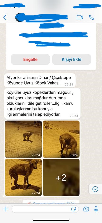 AFYONKARAHİSAR'DA UYUZ KÖPEKLER MAHALLENİN KABUSU OLDU