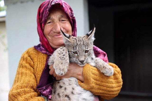 KEDİ ZANNETTİLER BAKIN NE ÇIKTI