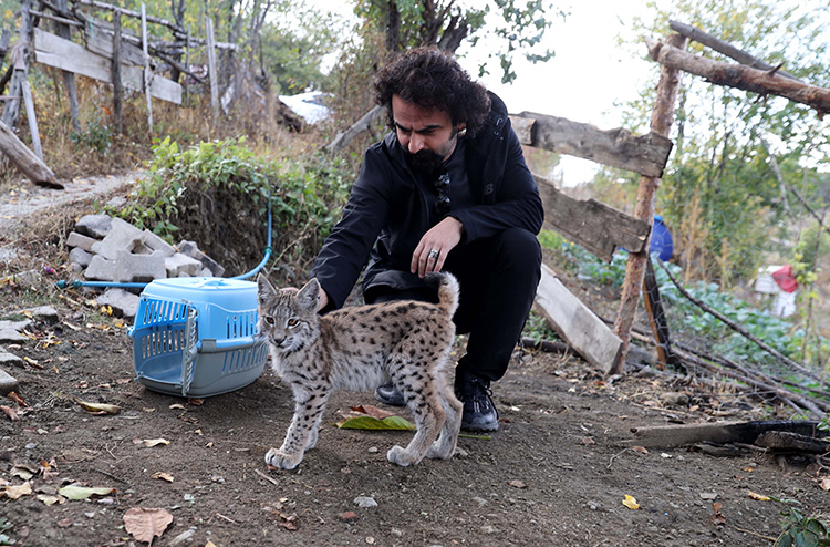 KEDİ ZANNETTİLER BAKIN NE ÇIKTI