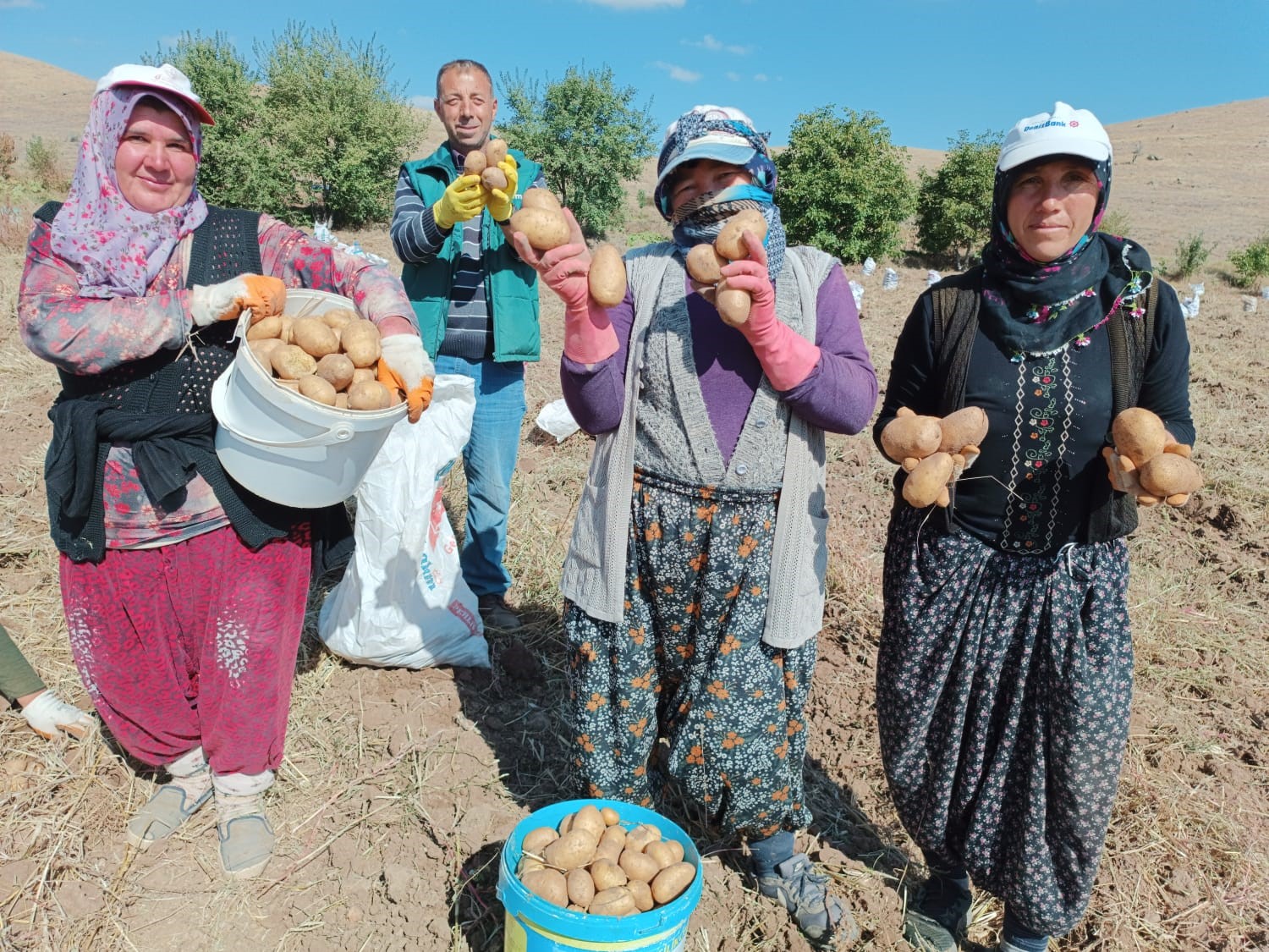 ‘AGRİA’ CİNSİ PATATESTE HASAT BAŞLADI