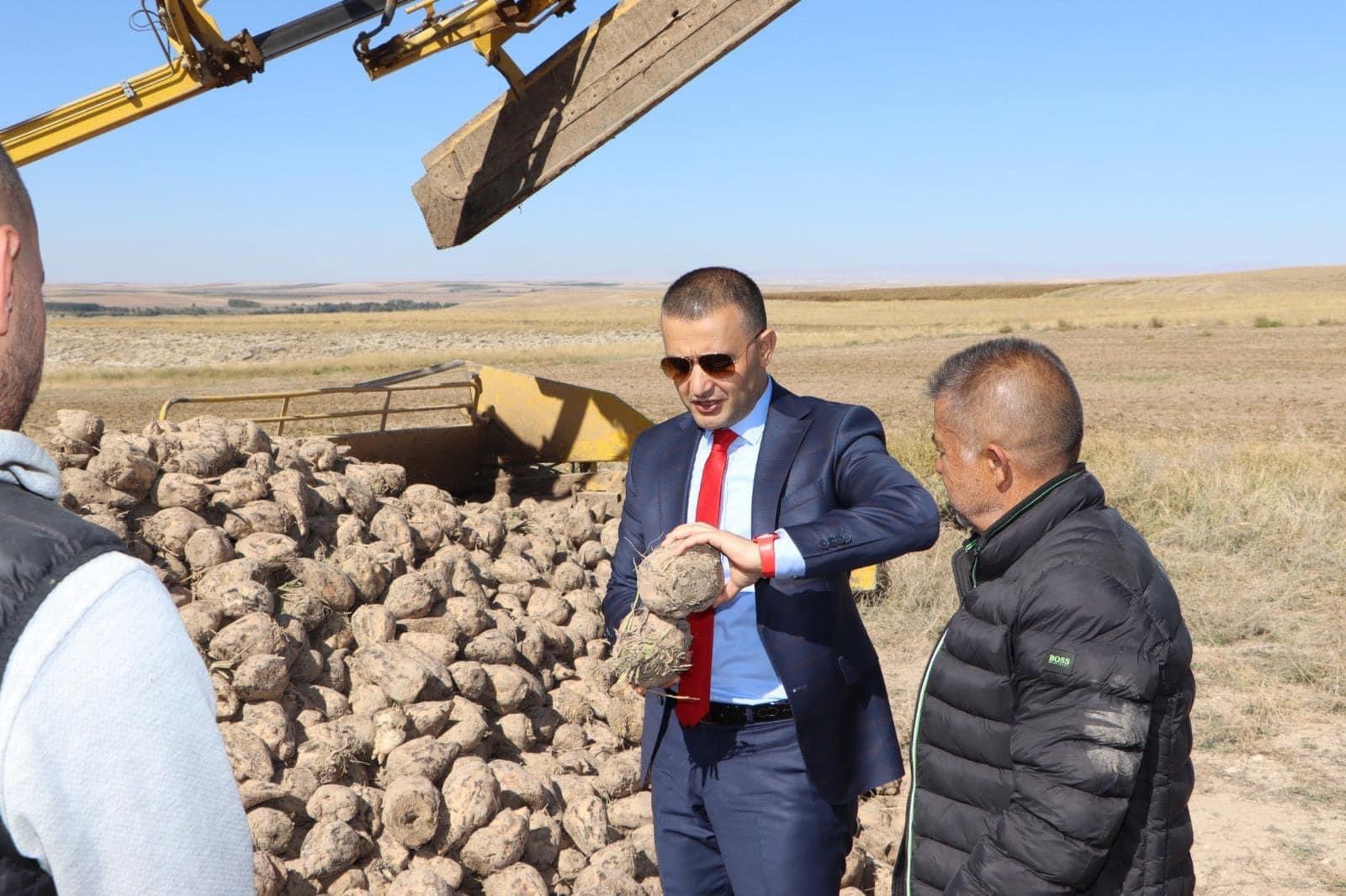 EMİRDAĞ İLÇESİNDE ŞEKER PANCARI HASADI SÜRÜYOR