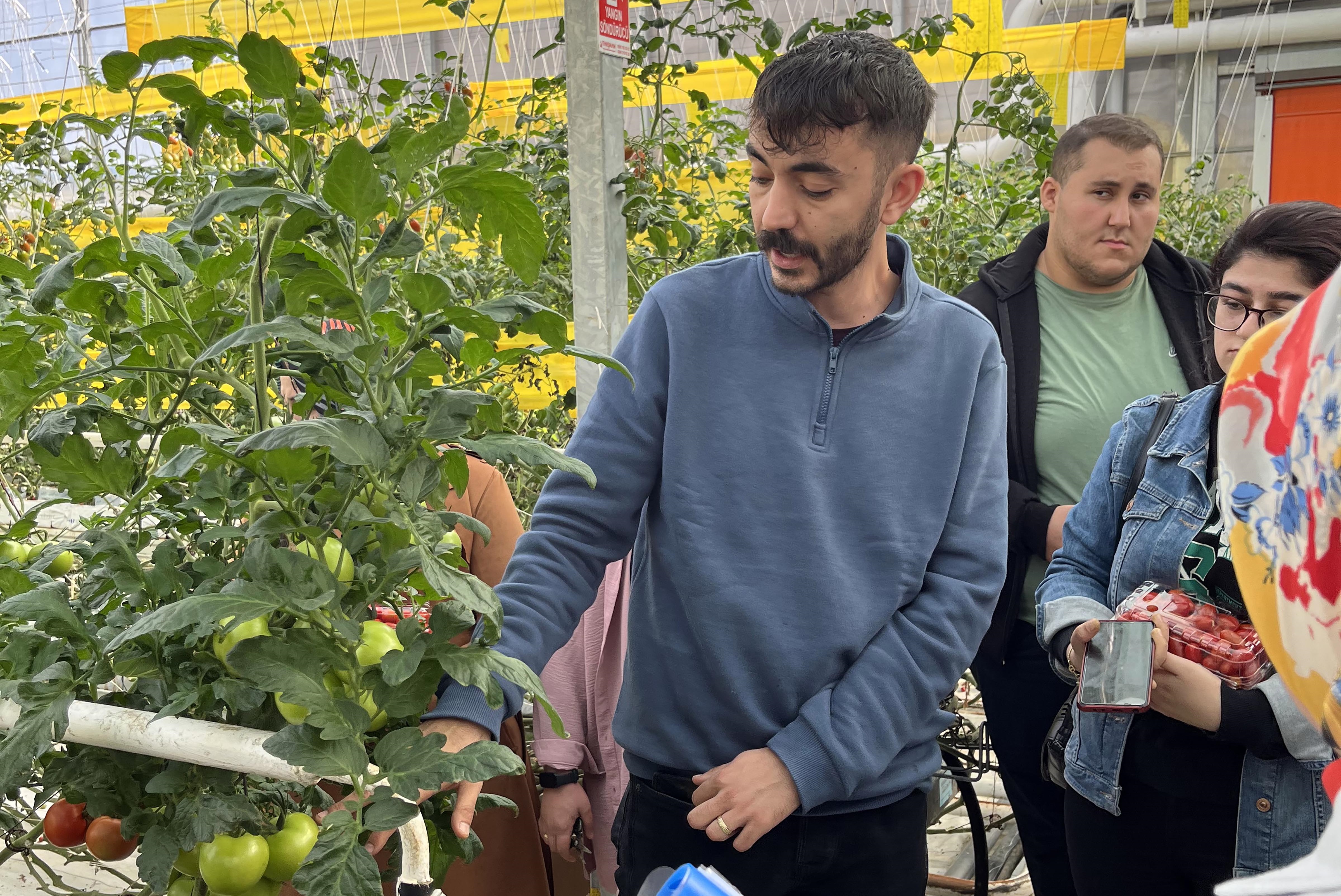 SANDIKLI MYO ÖĞRENCİLERİ SERA UYGULAMALARINI YERİNDE İNCELEDİ