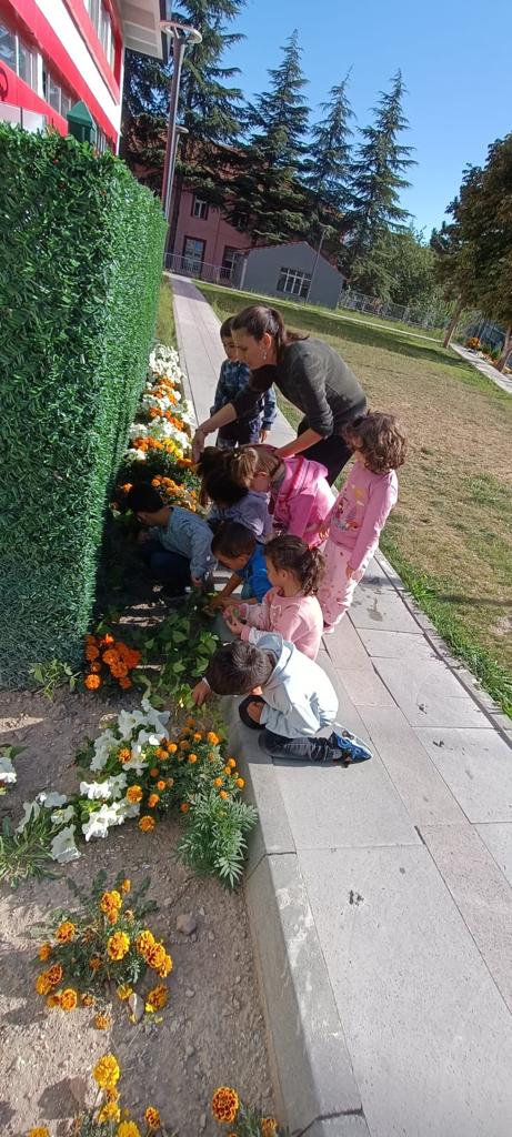 Emirdağ'da Çocuklar Doğayla İç İçe Büyüyor